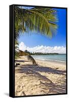 Palm Shadow, Loiza, Puerto Rico-George Oze-Framed Stretched Canvas