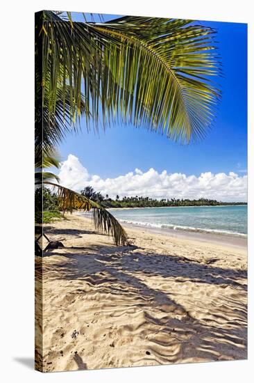 Palm Shadow, Loiza, Puerto Rico-George Oze-Stretched Canvas