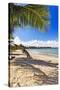 Palm Shadow, Loiza, Puerto Rico-George Oze-Stretched Canvas