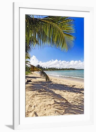 Palm Shadow, Loiza, Puerto Rico-George Oze-Framed Photographic Print