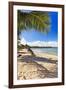 Palm Shadow, Loiza, Puerto Rico-George Oze-Framed Photographic Print