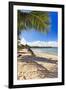 Palm Shadow, Loiza, Puerto Rico-George Oze-Framed Photographic Print