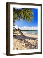 Palm Shadow, Loiza, Puerto Rico-George Oze-Framed Photographic Print