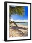 Palm Shadow, Loiza, Puerto Rico-George Oze-Framed Photographic Print