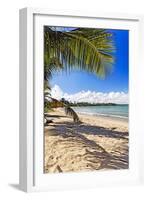 Palm Shadow, Loiza, Puerto Rico-George Oze-Framed Photographic Print