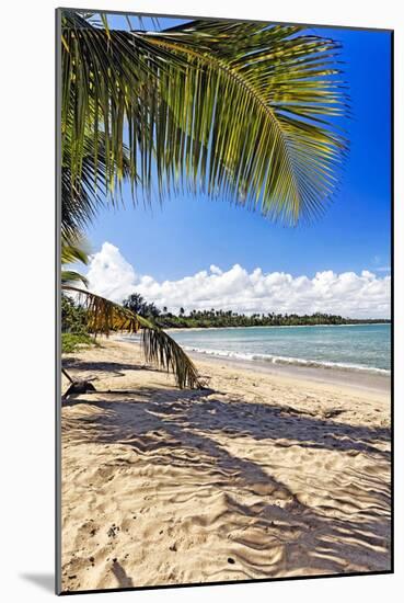 Palm Shadow, Loiza, Puerto Rico-George Oze-Mounted Photographic Print