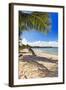 Palm Shadow, Loiza, Puerto Rico-George Oze-Framed Photographic Print