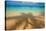 Palm Shadow Paradise-Jim Zuckerman-Stretched Canvas