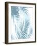 Palm Shadows Aqua II-Melonie Miller-Framed Art Print