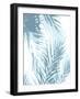 Palm Shadows Aqua II-Melonie Miller-Framed Art Print