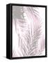 Palm Shadows Blush I-Melonie Miller-Framed Stretched Canvas