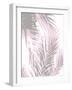 Palm Shadows Blush I-Melonie Miller-Framed Art Print