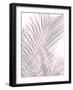 Palm Shadows Blush II-Melonie Miller-Framed Art Print