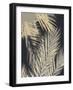 Palm Shadows Cream II-Melonie Miller-Framed Art Print