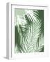 Palm Shadows Green II-Melonie Miller-Framed Art Print