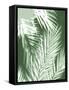 Palm Shadows Green II-Melonie Miller-Framed Stretched Canvas