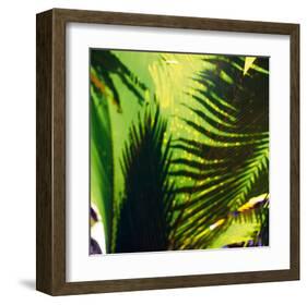 Palm Shadows I-Chris Simpson-Framed Giclee Print