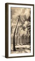 Palm Shadows I-Susan Friedman-Framed Photographic Print