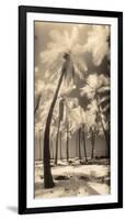 Palm Shadows I-Susan Friedman-Framed Photographic Print