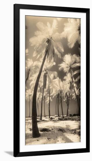 Palm Shadows I-Susan Friedman-Framed Photographic Print