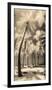 Palm Shadows I-Susan Friedman-Framed Photographic Print