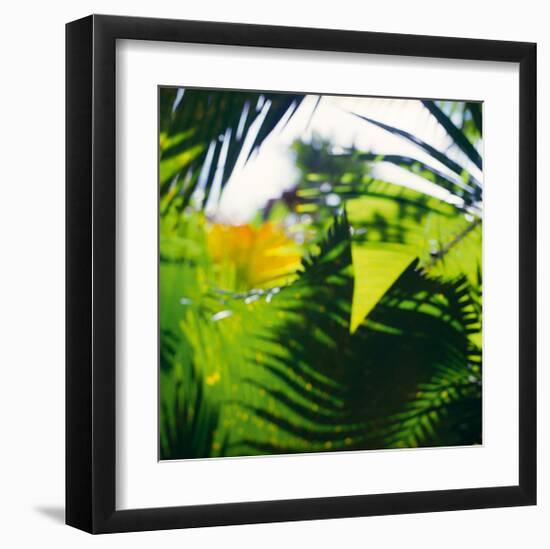 Palm Shadows II-Chris Simpson-Framed Giclee Print