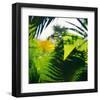 Palm Shadows II-Chris Simpson-Framed Giclee Print