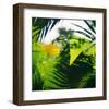 Palm Shadows II-Chris Simpson-Framed Giclee Print