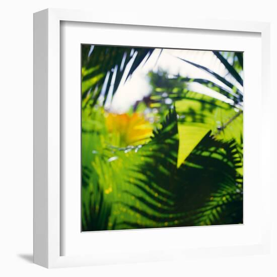 Palm Shadows II-Chris Simpson-Framed Giclee Print