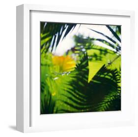 Palm Shadows II-Chris Simpson-Framed Giclee Print