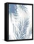 Palm Shadows  II-Melonie Miller-Framed Stretched Canvas