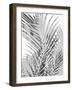 Palm Shadows III-Melonie Miller-Framed Art Print