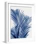 Palm Shadows Indigo I-Melonie Miller-Framed Art Print