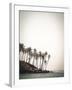Palm Shores-Florian Schleinig-Framed Giclee Print
