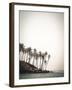 Palm Shores-Florian Schleinig-Framed Giclee Print