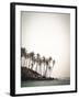 Palm Shores-Florian Schleinig-Framed Giclee Print