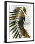 Palm Sienna I-John Butler-Framed Art Print