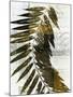 Palm Sienna I-John Butler-Mounted Art Print