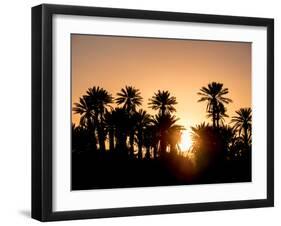 Palm Silhouettes over Sunset in the Desert. Zagora, Morocco, Africa.-LeonardoRC-Framed Photographic Print