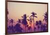 Palm Sky 1-Design Fabrikken-Framed Photographic Print