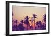 Palm Sky 1-Design Fabrikken-Framed Photographic Print