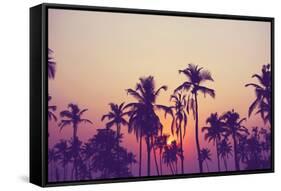 Palm Sky 1-Design Fabrikken-Framed Stretched Canvas