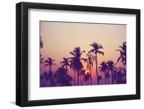 Palm Sky 1-Design Fabrikken-Framed Photographic Print