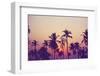 Palm Sky 1-Design Fabrikken-Framed Premium Photographic Print