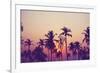 Palm Sky 1-Design Fabrikken-Framed Photographic Print