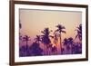 Palm Sky 1-Design Fabrikken-Framed Photographic Print