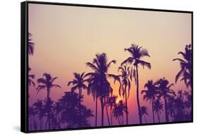 Palm Sky 1-Design Fabrikken-Framed Stretched Canvas