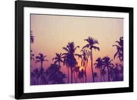 Palm Sky 1-Design Fabrikken-Framed Photographic Print