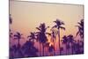 Palm Sky 1-Design Fabrikken-Mounted Photographic Print