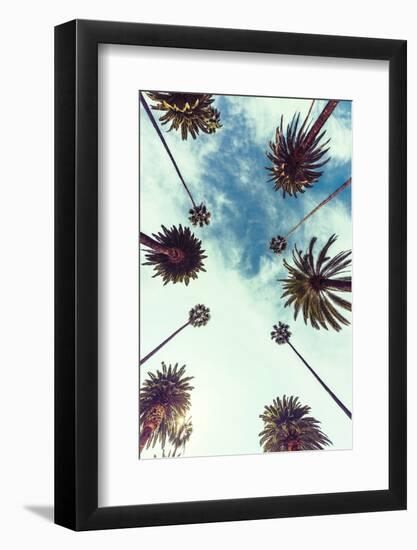 Palm Sky 2-Design Fabrikken-Framed Photographic Print